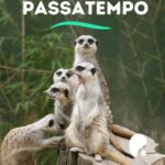 Ganha um Fim de Semana no Alambique Hotel Resort & Spa 4*!