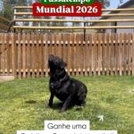 Ganha o Ecophane Soft Champô Ultra Suave de Bailleul