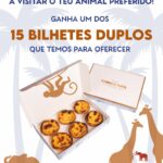 Ganha Bilhetes para o NOS Alive 2026 com o FIXO Fidelidade