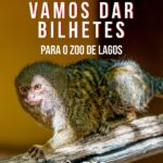 Conquista Convites Duplos para a Ante‑estreia de Finnick: Criaturas Mágicas