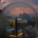 Ganha Convites Duplos para a Ante‑estreia de “O Fim de Oak Street”