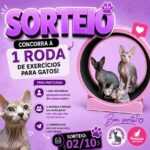 Ganha Xarope Concentrado Sem Açúcar da Opinagora – Teste Grátis